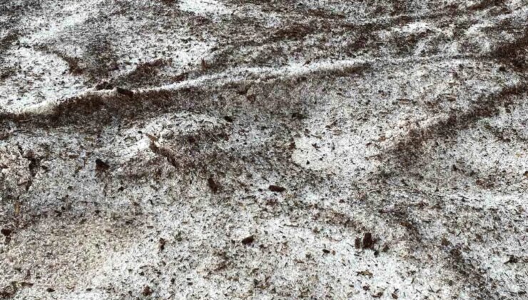 Şanlıurfa’da Dolu ve Yağmur Zarara Yol Açtı, Vatandaşlar Mahsur Kaldı