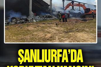Şanlıurfa’da korkutan yangın! Fabrika alev aldı