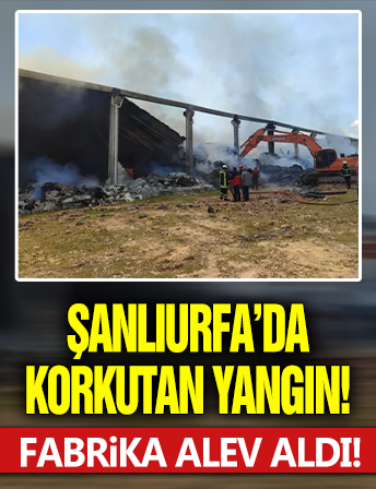 Şanlıurfa'da korkutan yangın! Fabrika alev aldı