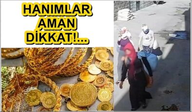 Siverek’te akıllara durgunluk veren hırsızlık olayı!