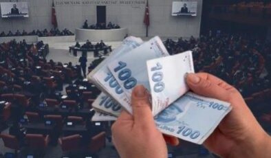 Yeni emeklilik sistemi: 4 yıllık reform dönemi başladı! İlk hedef enflasyonu düşürmek