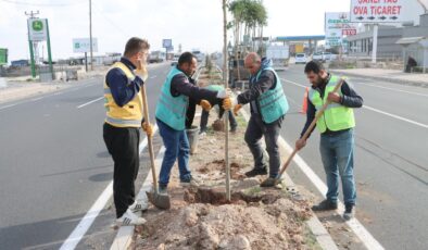 Büyükşehir Daha Yeşil Bir Şanlıurfa İçin Ağaçlandırma Çalışmalarını Sürdürüyor