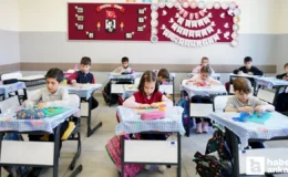 MEB ilkokul birinci sınıflara yönelik etkinlik fasikülleri yayımlandı