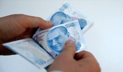 Çiftçilerin tarımsal destekleme ödemelerinin detayları belli oldu… 