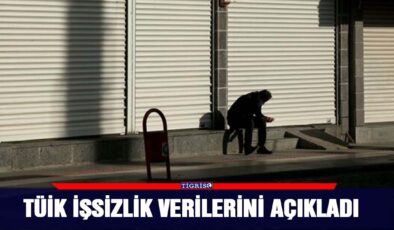TÜİK İşsizlik verileri açıkladı!…