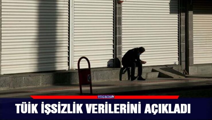 TÜİK İşsizlik verileri açıkladı!…