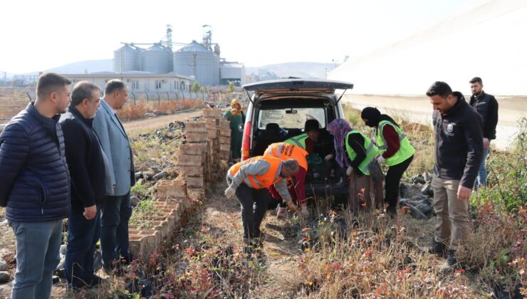 Şanlıurfa Büyükşehir’den Çiftçi dostu uygulama