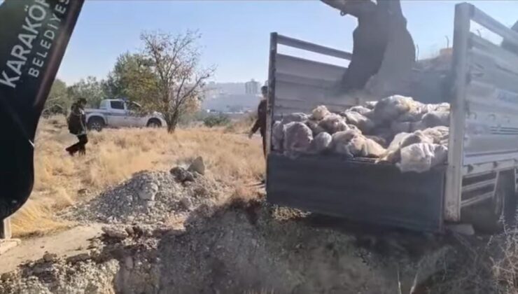 Urfa’da ciğer kebabı olarak millete yedireceklerdi