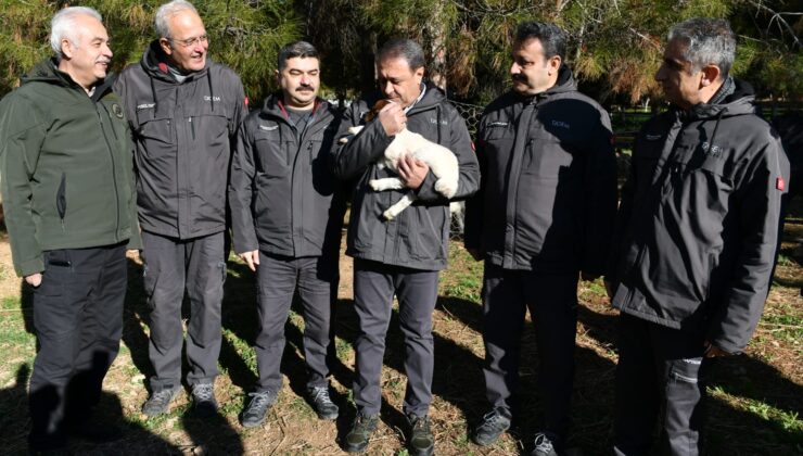 Vali Şıldak, GAPTAEM tek tek işletmesi’ni ziyaret etti