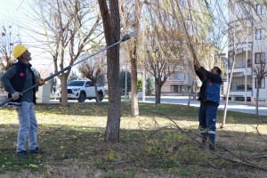 Haliliye’de 203 park ve sokaklarda hummalı peyzaj çalışmaları