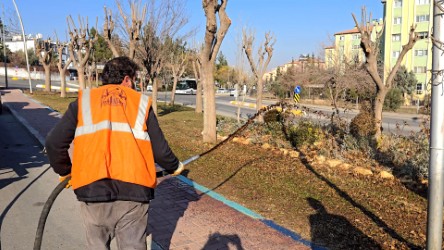 Eyyübiye’nin yeşil alanlarına özenli bakım