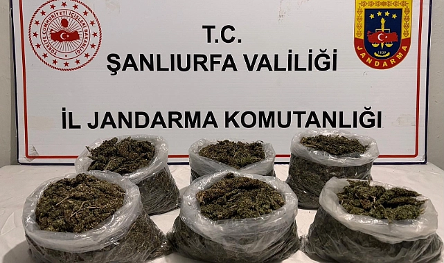 Urfa’da Polis ve Jandarmadan 15 ayrı adrese büyük baskın!…