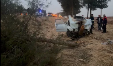 Şanlıurfa’da otomobil ağaca çarptı: 4 yaralı
