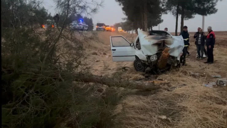 Şanlıurfa’da otomobil ağaca çarptı: 4 yaralı