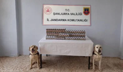 Jandarma’dan sigara kaçakçılarına darbe