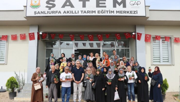 Şanlıurfa’da emekli kadınlara yönelik süs bitkisi yetiştiriciliği eğitimi